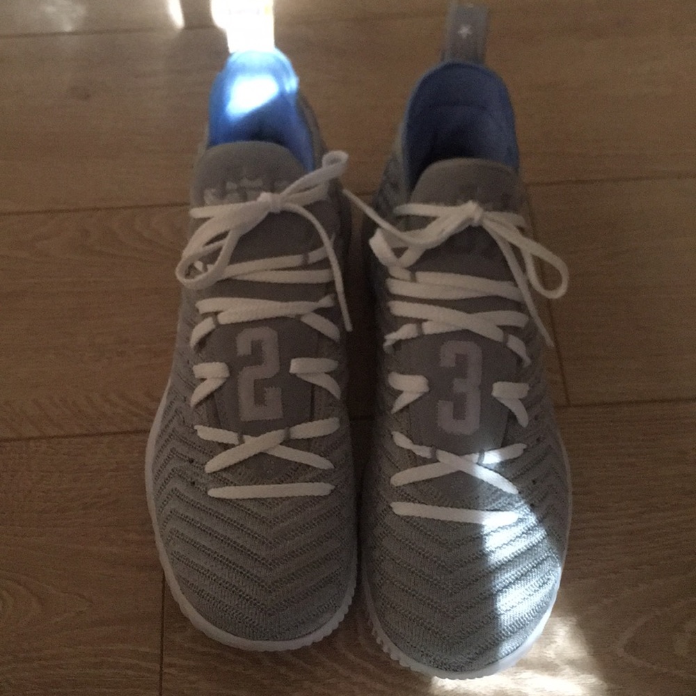 LeBron James Nike Used 1x no box Lion🦁